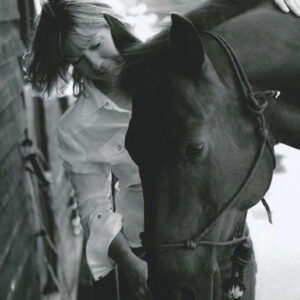 An Introduction and Understanding of Equine Communication
