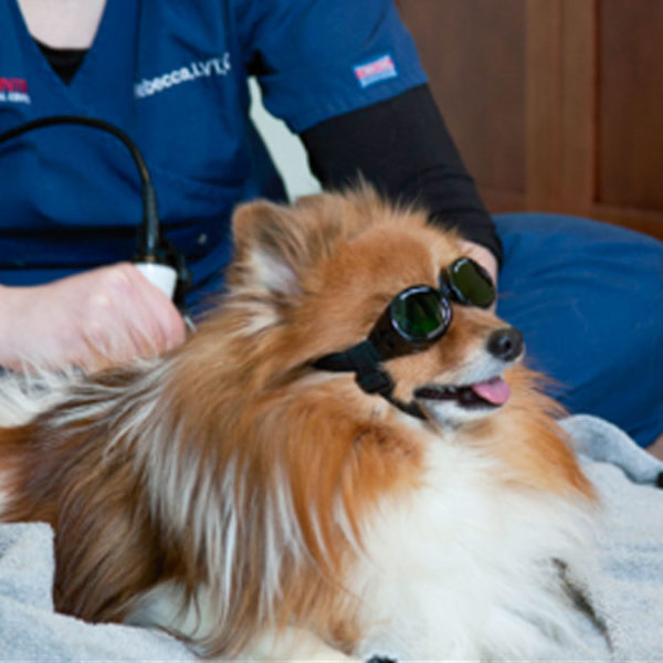 An Introduction to Laser Therapy