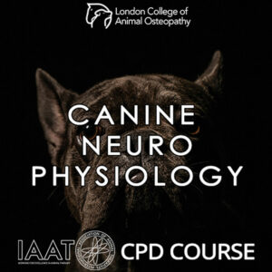 Canine Neurophysiology