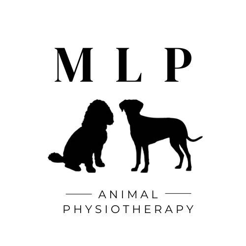 Megan Penny – International Association of Animal Therapists