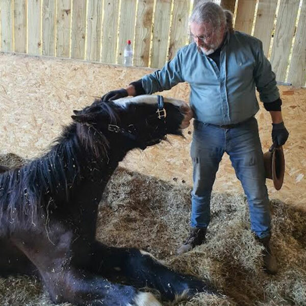 Principles of Healthy Equine Feet with Clive Ponsford