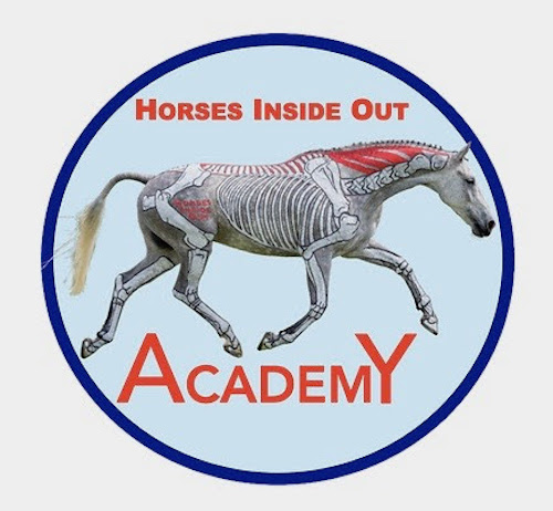 Horses Inside Out